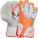 Newbery</br>ForceWktkeepingGlove